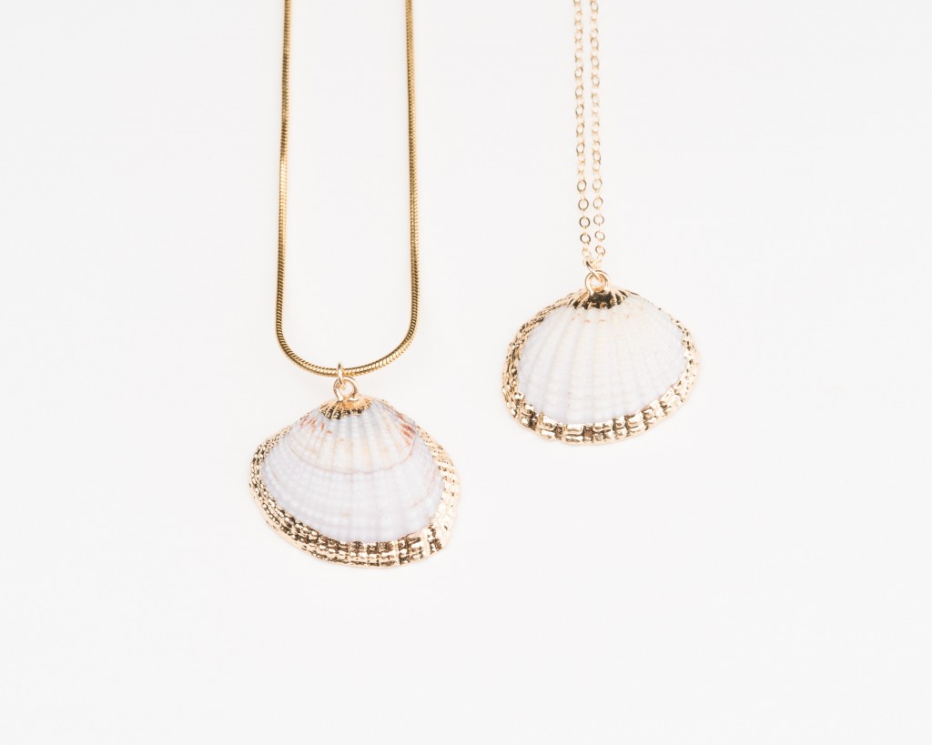 White Seashell Necklace