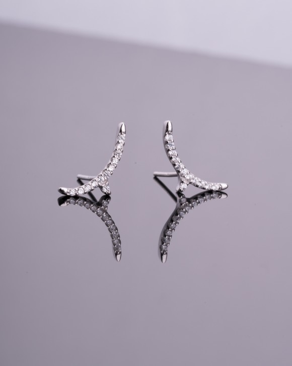 Silver Stud Earrings 