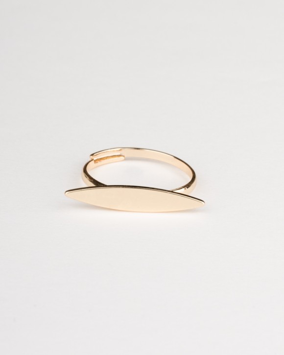 Surfboard Ring