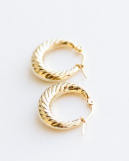 Small Gold Hoops