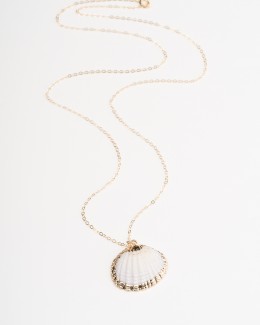 White Seashell Necklace