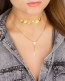 Disc Choker in 14k Gold Filled