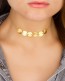 Disc Choker in 14k Gold Filled