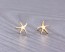 Starfish earrings, gold stud earrings, gold starfish earrings, tiny stud earrings, post earrings, nautical wedding, bridesmaid, "Psalacantha"