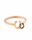 Pinky Ring • Horseshoe Ring • Good Luck Ring