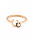 Pinky Ring • Horseshoe Ring • Good Luck Ring