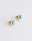 Turquoise Stud Earrings