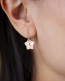 Moon Star Earrings