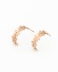 Small Hoop Earrings • Rose Gold Hoops
