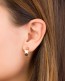 Small Hoop Earrings • Rose Gold Hoops