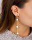  Rose Gold Long Earrings