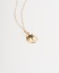 Seashell Necklace