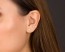 Ear Climber Earrings / Ear Crawler Earrings
